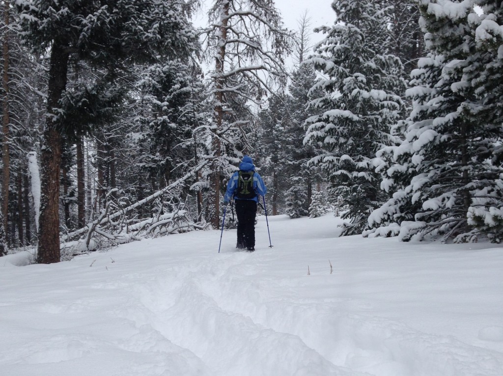 WomanSnowshoeing