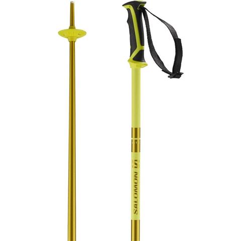 Arctic Ski Poles