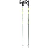 Unisex Detect S Ski Poles