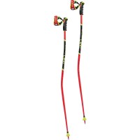 Adult WCR TBS GS 3D Race Ski Poles - Red