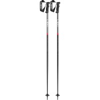 Unisex QNTM Ski Poles - Black / Red