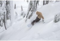 Almanac Snowboard