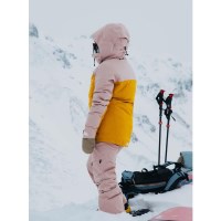 Women's [ak] Embark GORE-TEX Jacket - Shadow Pink / Golden Rod