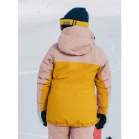 Women's [ak] Embark GORE-TEX Jacket - Shadow Pink / Golden Rod